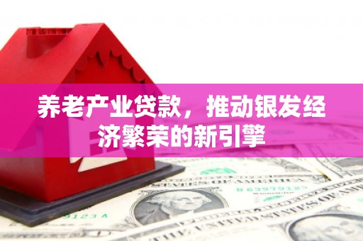 思茅养老产业贷款，推动银发经济繁荣的新引擎