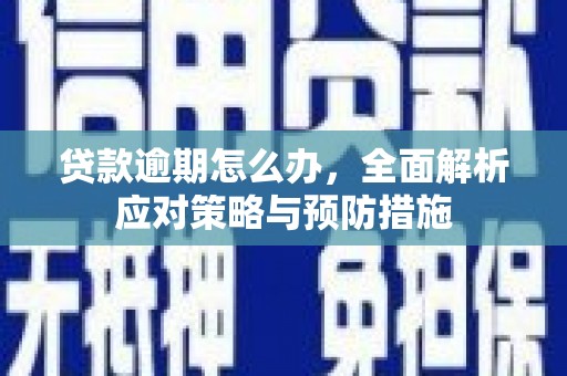 思茅贷款逾期怎么办，全面解析应对策略与预防措施