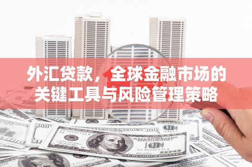 思茅外汇贷款，全球金融市场的关键工具与风险管理策略