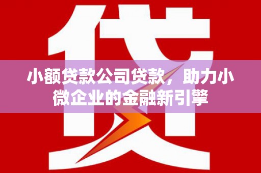 思茅小额贷款公司贷款，助力小微企业的金融新引擎