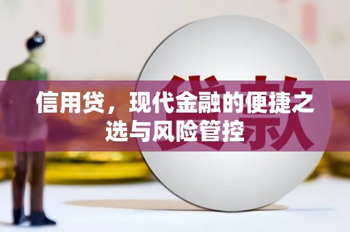 思茅信用贷，现代金融的便捷之选与风险管控