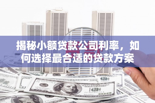 思茅揭秘小额贷款公司利率，如何选择最合适的贷款方案