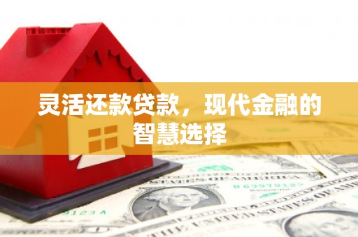 思茅灵活还款贷款，现代金融的智慧选择