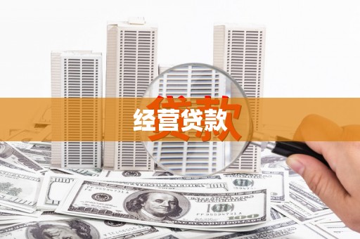 思茅经营贷款