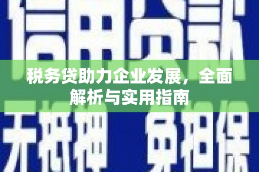 思茅税务贷助力企业发展，全面解析与实用指南