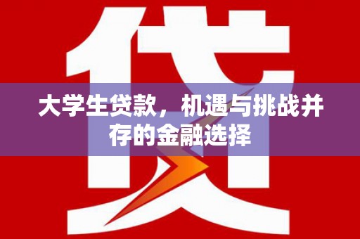 思茅大学生贷款，机遇与挑战并存的金融选择