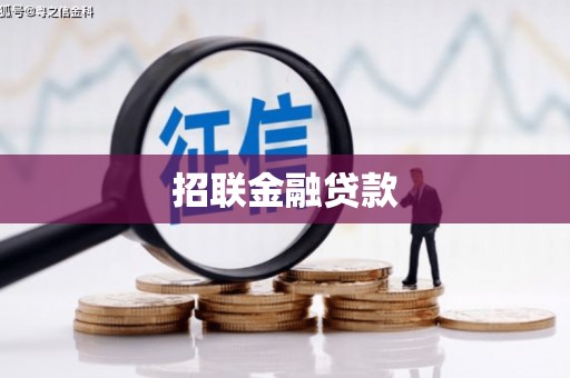 思茅招联金融贷款