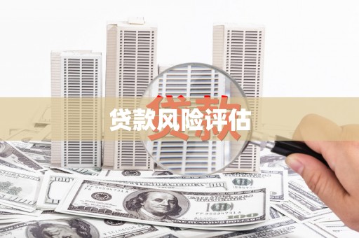 思茅贷款风险评估