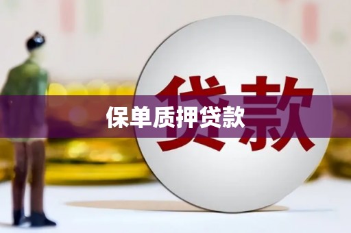 思茅保单质押贷款