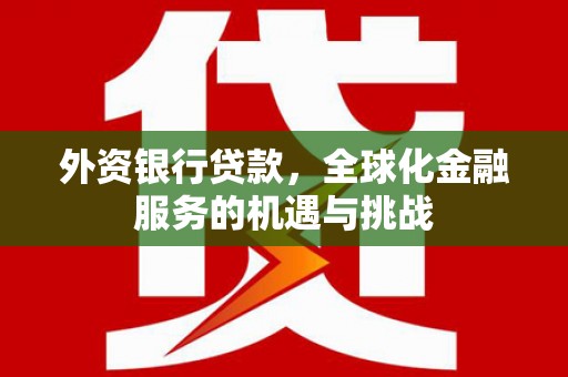 思茅外资银行贷款，全球化金融服务的机遇与挑战