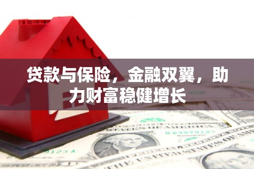 思茅贷款与保险，金融双翼，助力财富稳健增长