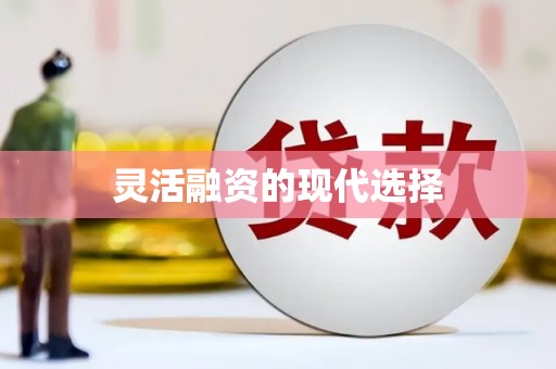 思茅灵活融资的现代选择