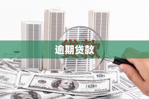 思茅逾期贷款