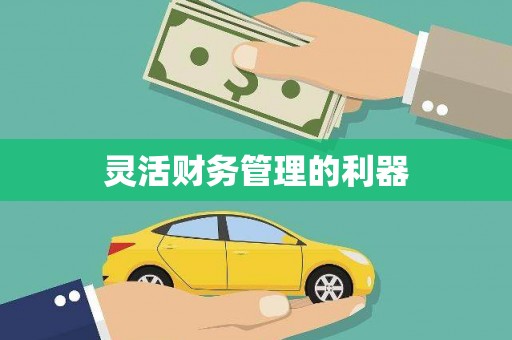思茅灵活财务管理的利器