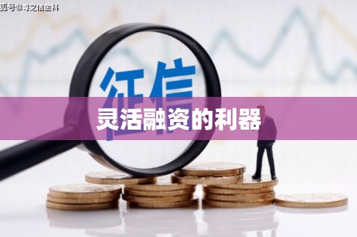 思茅灵活融资的利器