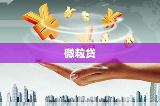 思茅微粒贷