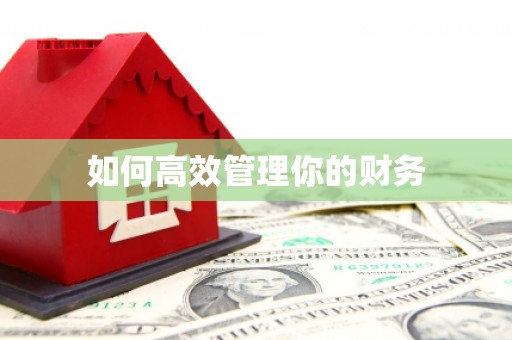 思茅如何高效管理你的财务
