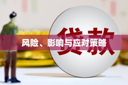 思茅风险、影响与应对策略