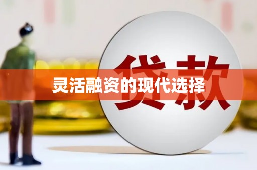 思茅灵活融资的现代选择