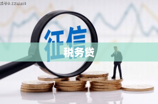 思茅税务贷