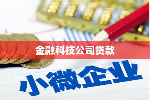 思茅金融科技公司贷款