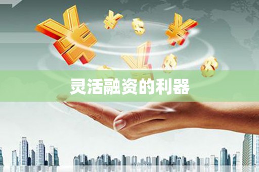 思茅灵活融资的利器