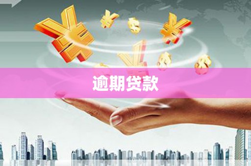 思茅逾期贷款