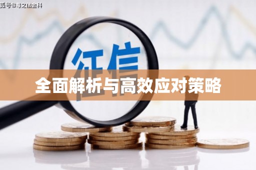 思茅全面解析与高效应对策略